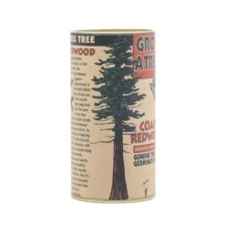 Coast Redwood | Seed Grow Kit -Evergreen Plants Shop Coast Redwood Kit 360 6