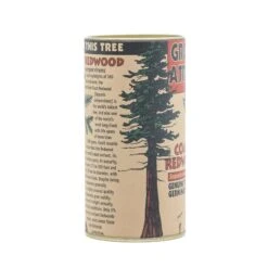 Coast Redwood | Seed Grow Kit -Evergreen Plants Shop Coast Redwood Kit 360 7