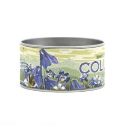 Columbine | Flower Seed Grow Kit -Evergreen Plants Shop Columbine 11