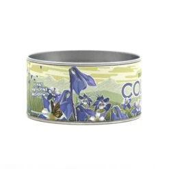 Columbine | Flower Seed Grow Kit -Evergreen Plants Shop Columbine 13