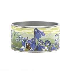 Columbine | Flower Seed Grow Kit -Evergreen Plants Shop Columbine 14