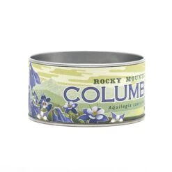 Columbine | Flower Seed Grow Kit -Evergreen Plants Shop Columbine 6