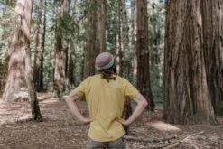 Coast Redwood | Medium Tree Seedling -Evergreen Plants Shop Conehunters 8 small 429e12f2 f969 43d9 98b6 65ecc5a79207