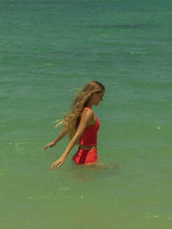 Coral Allie - Zipper Tankini - $76 19 Coral Allie - Zipper Tankini - $76 -Evergreen Plants Shop D3657651 6020 4D06 A706 53A788AB806A