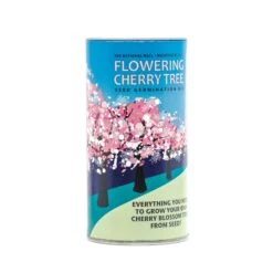 Washington D.C. Cherry | Seed Grow Kit 30 Washington D.C. Cherry | Seed Grow Kit -Evergreen Plants Shop DC Cherry Grow Kit 360 3