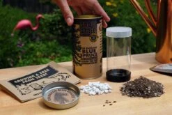 Blue Spruce | Seed Grow Kit -Evergreen Plants Shop DSCF7827