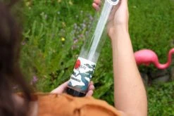 Bonsai Starter | Packaged Live Tree -Evergreen Plants Shop DSCF7908