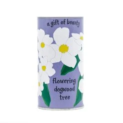 Flowering Dogwood | Seed Grow Kit -Evergreen Plants Shop Dogwood Grow Kit 360 2