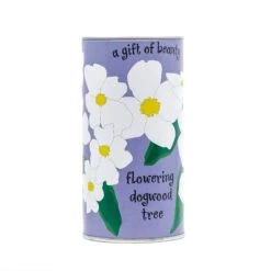Flowering Dogwood | Seed Grow Kit -Evergreen Plants Shop Dogwood Grow Kit 360 3