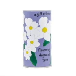 Flowering Dogwood | Seed Grow Kit -Evergreen Plants Shop Dogwood Grow Kit 360 4