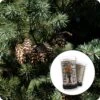 Douglas Fir | Mini-Grow Kit