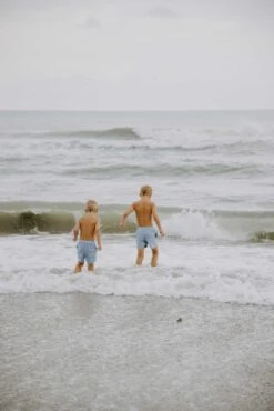 Edward - Boys Blue Boardshorts -Evergreen Plants Shop EBB3F269 EEF1 4013 9A0A A7693F91B368