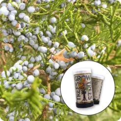 Eastern Redcedar | Mini-Grow Kit