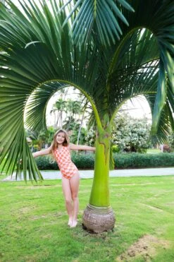 Tween Brighton - Reversible Tankini $58 -Evergreen Plants Shop F299C977 3B10 4F26 A80C C436B80DCD4B