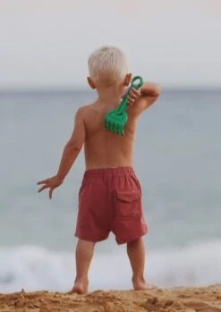 Noah - Boys Mauve Boardshorts -Evergreen Plants Shop F50DC698 8756 49C5 9D29 8BDE5B87F516