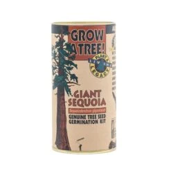 Giant Sequoia | Seed Grow Kit -Evergreen Plants Shop Giant Sequoia Grow Kit 360 1