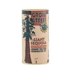 Giant Sequoia | Seed Grow Kit -Evergreen Plants Shop Giant Sequoia Grow Kit 360 2