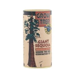 Giant Sequoia | Seed Grow Kit -Evergreen Plants Shop Giant Sequoia Grow Kit 360 3