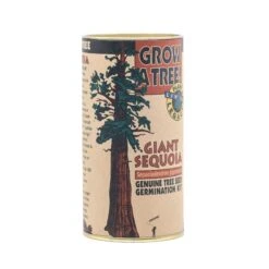 Giant Sequoia | Seed Grow Kit -Evergreen Plants Shop Giant Sequoia Grow Kit 360 4