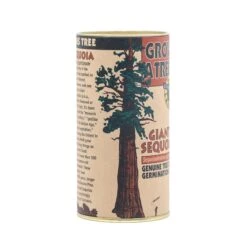 Giant Sequoia | Seed Grow Kit -Evergreen Plants Shop Giant Sequoia Grow Kit 360 6