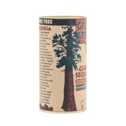 Giant Sequoia | Seed Grow Kit -Evergreen Plants Shop Giant Sequoia Grow Kit 360 7