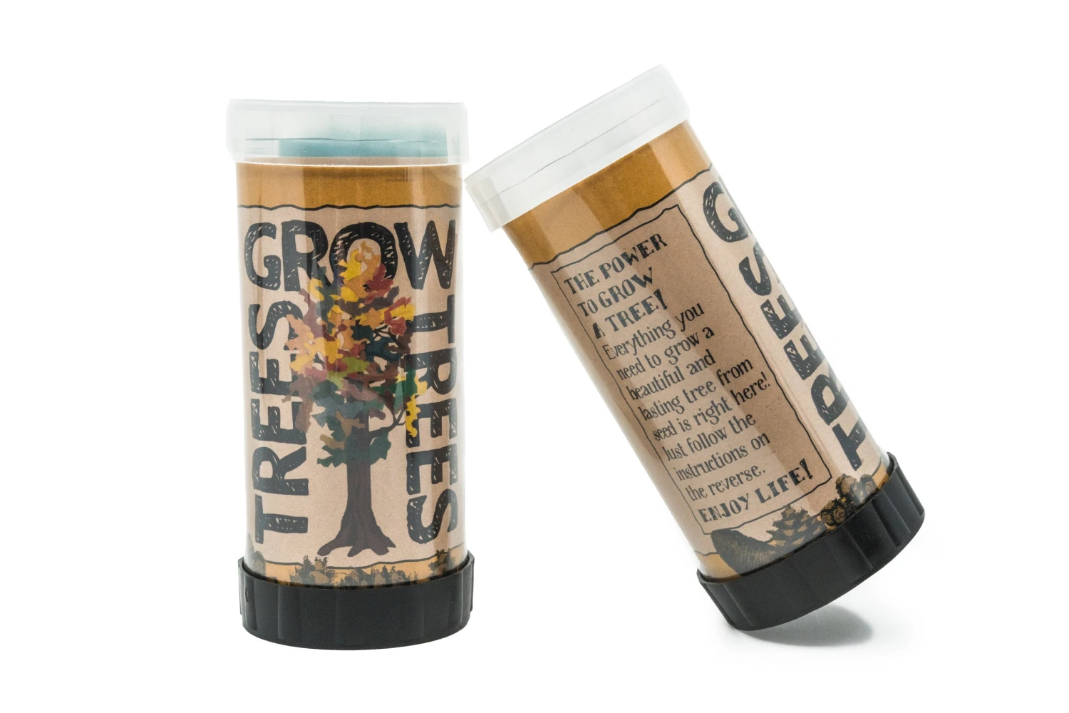 Monterey Cypress | Mini-Grow Kit 2 Monterey Cypress | Mini-Grow Kit - Image 2