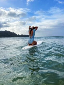 Dawn - Blue Puff Sleeve One-Piece - $38 -Evergreen Plants Shop IMG 7797