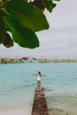 Jenna - White Zipper One-Piece Swimsuit - $74 -Evergreen Plants Shop IMG 9079