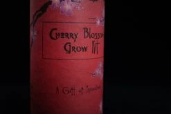 Japanese Cherry | Seed Grow Kit -Evergreen Plants Shop JapaneseCherryonBLK3 Small 247e340b bedb 422e b9ff aeeb0183dfcd