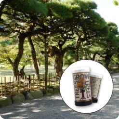 Japanese Black Pine | Mini-Grow Kit
