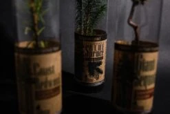 Blue Spruce | Packaged Live Tree -Evergreen Plants Shop Jonsteentubes Samples 10 Small 0086e30f 82cc 4ff3 a6f8 5dca502fc3fa
