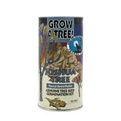 Joshua Tree | Seed Grow Kit
