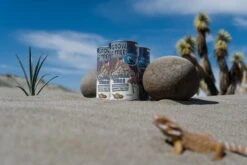 Joshua Tree | Seed Grow Kit -Evergreen Plants Shop JoshuaTreeGrowKit4