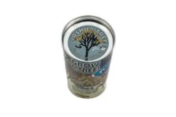 Joshua Tree | Seed Grow Kit -Evergreen Plants Shop JoshuaTreeKit 6