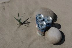 Joshua Tree | Seed Grow Kit -Evergreen Plants Shop JoshuaTreeSamples 15