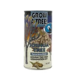 Joshua Tree | Seed Grow Kit -Evergreen Plants Shop Joshua Tree 360 2