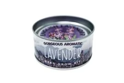 Lavender | Flower Seed Grow Kit -Evergreen Plants Shop LavenderGrowKit 8