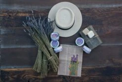 Lavender | Flower Seed Grow Kit -Evergreen Plants Shop LavenderStyled 13