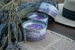 Lavender | Flower Seed Grow Kit -Evergreen Plants Shop LavenderStyled 16