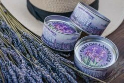 Lavender | Flower Seed Grow Kit -Evergreen Plants Shop LavenderStyled 19