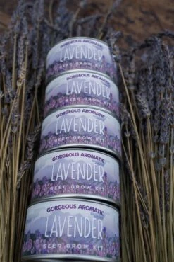 Lavender | Flower Seed Grow Kit -Evergreen Plants Shop LavenderStyled 69