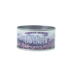 Lavender | Flower Seed Grow Kit -Evergreen Plants Shop Lavender GK 360 2