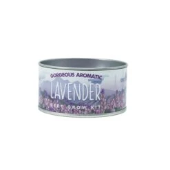Lavender | Flower Seed Grow Kit -Evergreen Plants Shop Lavender GK 360 4