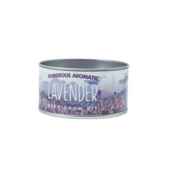 Lavender | Flower Seed Grow Kit -Evergreen Plants Shop Lavender GK 360 5