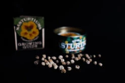 Nasturtium | Flower Seed Grow Kit -Evergreen Plants Shop NewGrowKits 2