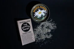 Shasta Daisy | Flower Seed Grow Kit 22 Shasta Daisy | Flower Seed Grow Kit -Evergreen Plants Shop NewGrowKits 5