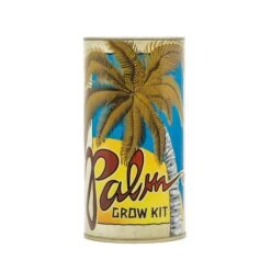 Palm Tree | Seed Grow Kit -Evergreen Plants Shop Palm Grow Kit 360 1