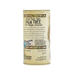 Palm Tree | Seed Grow Kit -Evergreen Plants Shop Palm Grow Kit 360 12