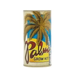 Palm Tree | Seed Grow Kit -Evergreen Plants Shop Palm Grow Kit 360 2