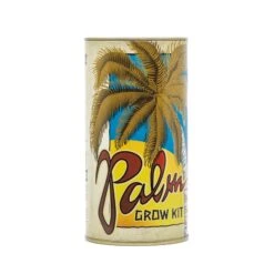 Palm Tree | Seed Grow Kit -Evergreen Plants Shop Palm Grow Kit 360 3
